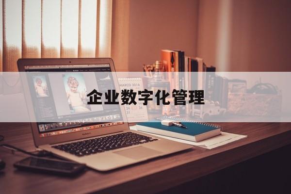 企业数字化管理:(生产数字化管理系统)