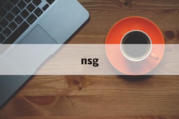 nsg:(NSG是哪个公司)