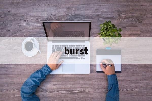 burst:(burst的用法及短语)