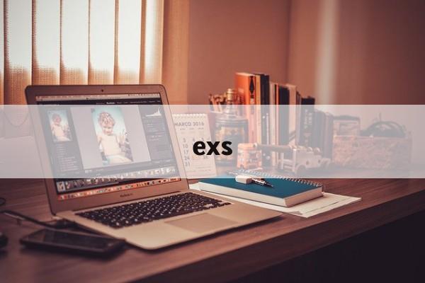 exs:(exs是啥意思)