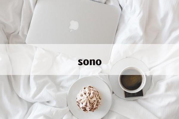 sono:(sonoai音乐)